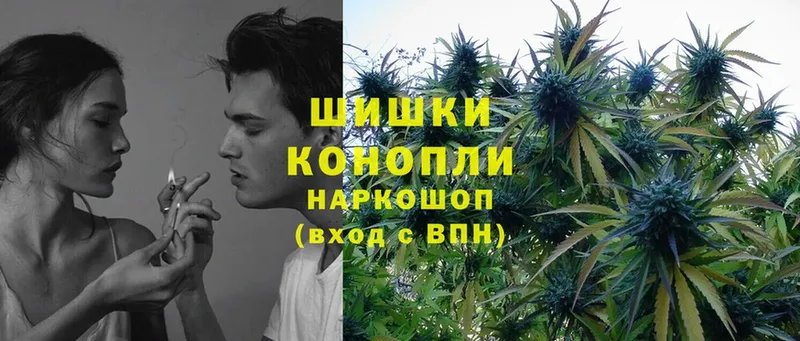 где найти   Нижнеудинск  Канабис SATIVA & INDICA 